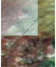 一蘭いきたい | その他