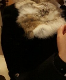 LOWRYS FARM | ジャケット/アウター