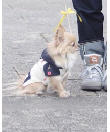 🐶つくし | おもちゃ