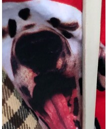 ZARA KIDS | ワンダフル🐕❤️(Tシャツ/カットソー)