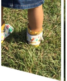 Arnold Palmer | サンダル