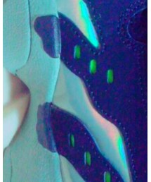 Nike DT max | スニーカー