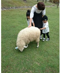 nest Robe | 🐑(ワンピース)