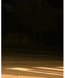 UNIQLO | ソックス/靴下