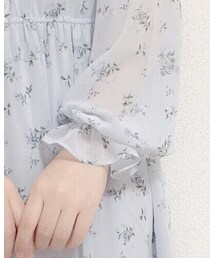 Honey Cinnamon | ワンピース