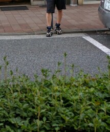 Reebok | スニーカー