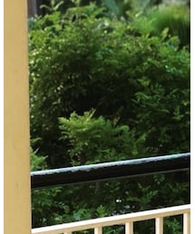 Supreme  | ソックス/靴下