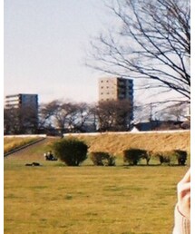 Starbucks | その他