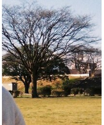 ZARA | ニット/セーター