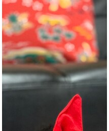 3coins | クッション/クッションカバー