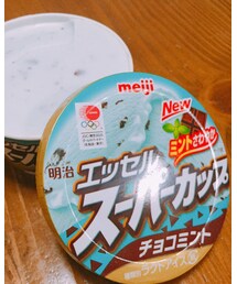 チョコミント | その他