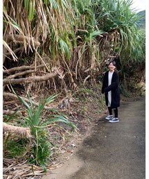 ホノホシ海岸 | その他
