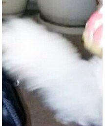 nico♡ | ワンピース