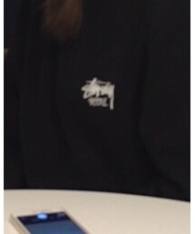 STUSSY | スウェット