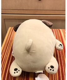 ハナちゃんのおしり😍 | その他