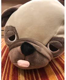 ハナちゃんアップ😍 | その他