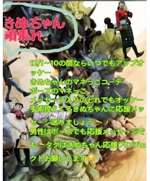 きぬちゃん応援プロジェクト💕 | その他