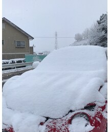 昨日の朝😳‼️ | その他