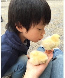 kiss💓 | 💋🐥(その他)