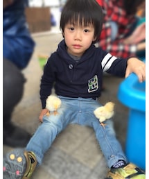 憑かれる。 | その他