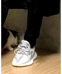 adidas | yeezyboost350v2 static(スニーカー)