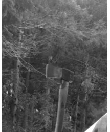 ハルタフォース | その他