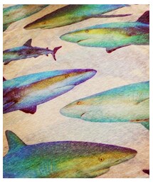 🦈TANK🦈 | タンクトップ