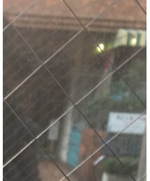 FREAK'S STORE | ハット