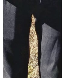 JUNRED | スウェットパンツ