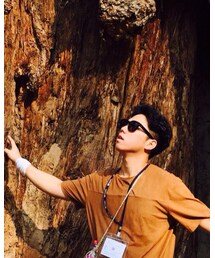 GUCCI | サングラス