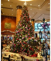 クリスマスツリー✨🎄✨ | その他
