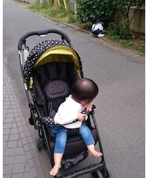 姉待ち | その他