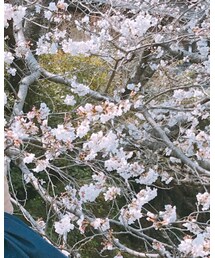 URBAN RESEARCH DOORS MENS | トップス