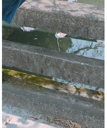 ABAHOUSE | パンツ