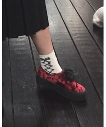 WEGO | ソックス/靴下