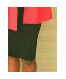 Goodwill | スカート