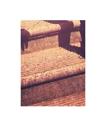 American Eagle | ブーツ