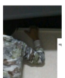 イオングループ | Tシャツ/カットソー