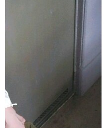 ﾋﾞｽﾁｪｺｰﾃﾞ | その他