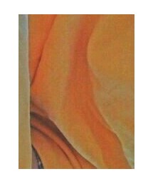 Champion | スウェット