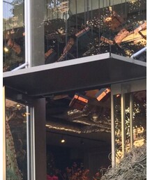 Nicolai Bergmann | その他