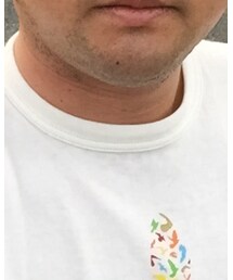 ENTRY SG | Tシャツ/カットソー