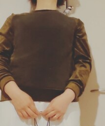 桜文鳥 | その他