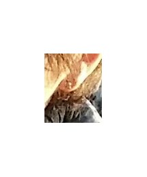 CHROME HEARTS | ピアス（片耳用）