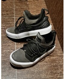 Article Number | スニーカー