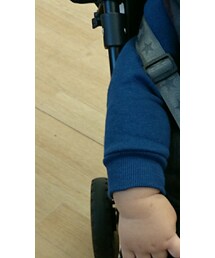 Champion | トップス