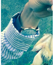 NOブランド | アナログ腕時計