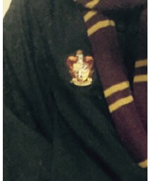 ホグワーツ魔法魔術学校 | チェスターコート