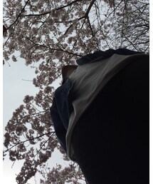 花見をしている私 | その他