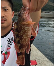 ガシラ | アクセサリー